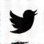 X (formerly Twitter) icon